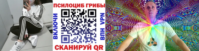 Псилоцибиновые грибы Cubensis  купить   Нюрба 